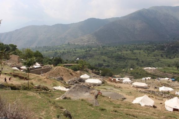 سازمان ملل: نیم میلیون حیوان در مناطق زلزلهزده افغانستان در خطر نابودی قرار دارند