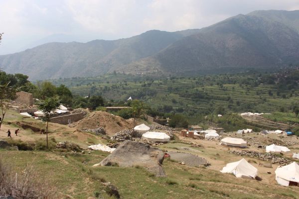 سازمان ملل: نیم میلیون حیوان در مناطق زلزلهزده افغانستان در خطر نابودی قرار دارند
