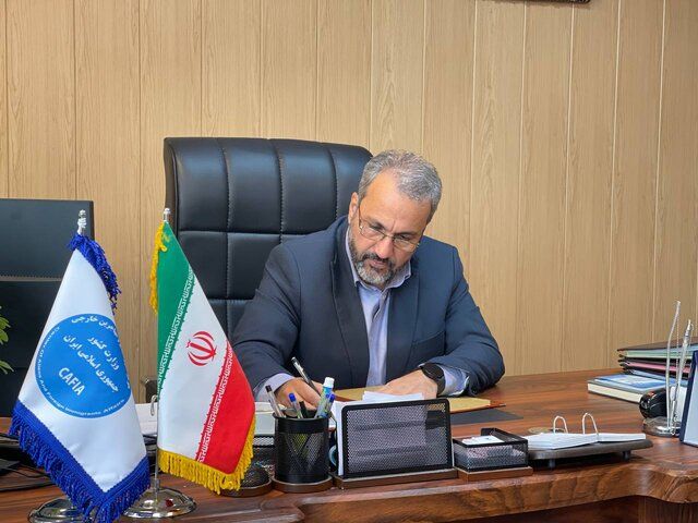 مقام ایرانی:در نیمه دوم ۱۴۰۴ فقط مهاجران دارای ویزا و کارت اقامت می‌توانند در ایران بمانند