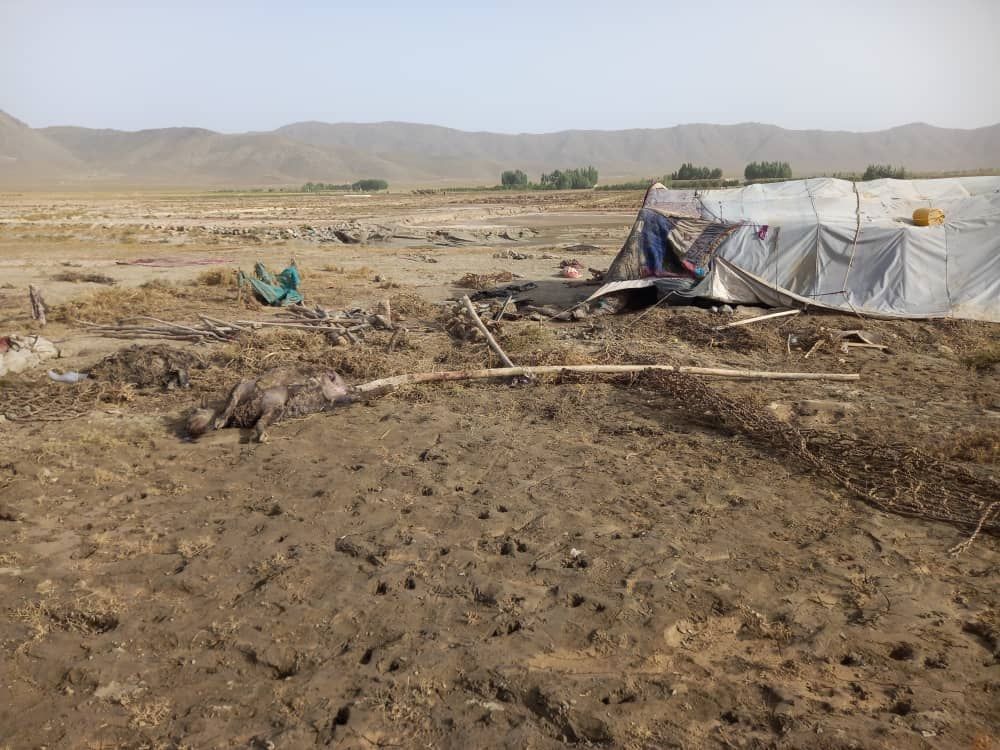 طالبان از جان باختن سه نفر در سیلاب‌های غزنی خبر داد