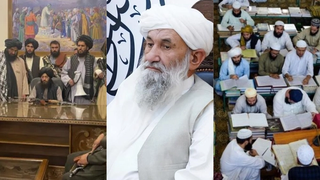 له مدرسې تر ارګه؛ د طالبانو له خوا پښتو ژبې ته اوښتي زیانونه