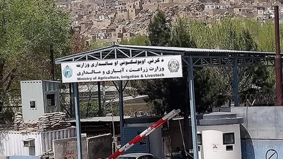 افشا شوي اسناد؛ د طالبانو د کرنې وزارت د عشر او زکات ځانګړی ریاست ۱۲سوه کارکوونکي لري