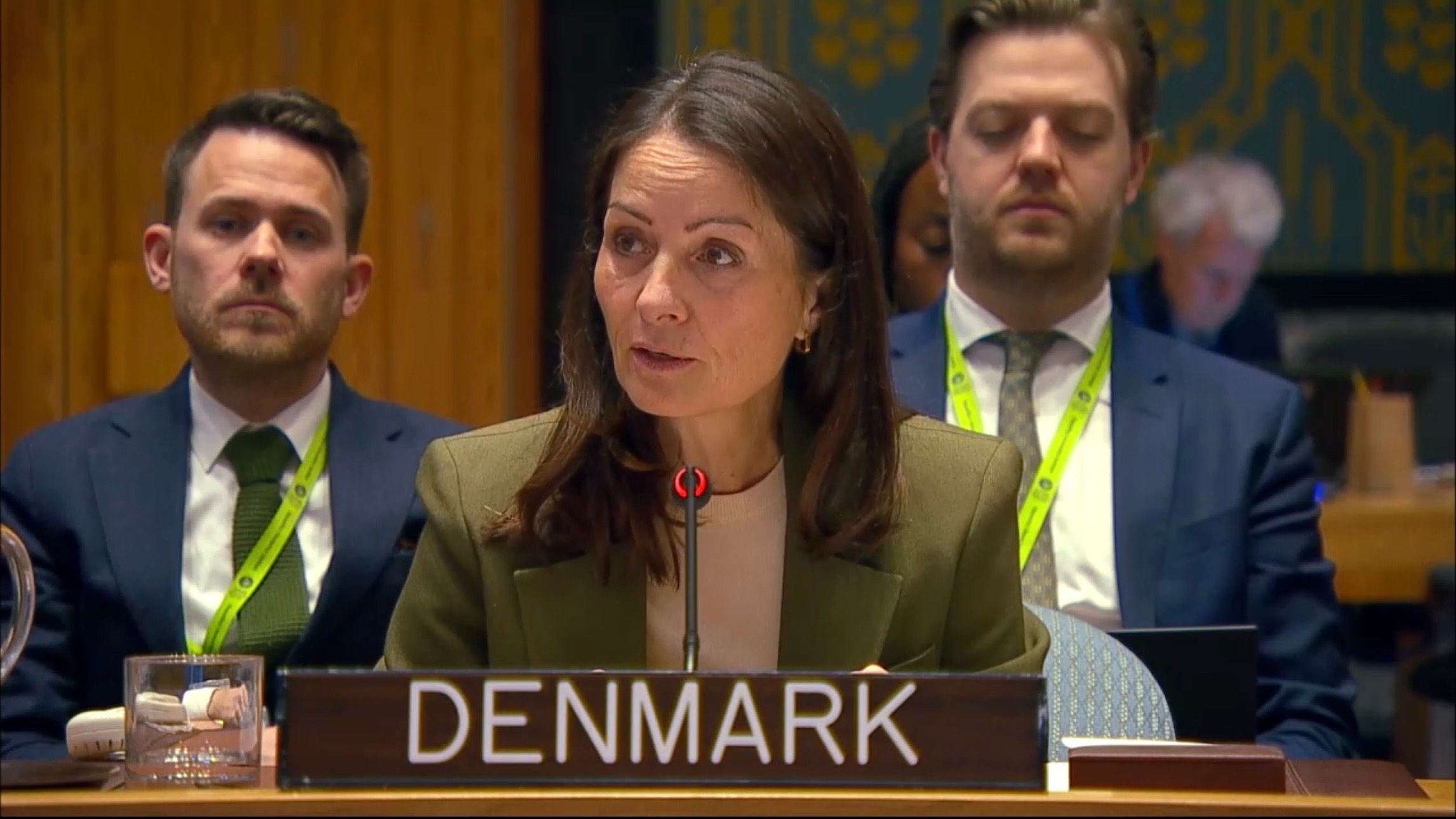 نماینده دنمارک در سازمان ملل: تی‌تی‌پی از حمایت گسترده طالبان برخوردار است