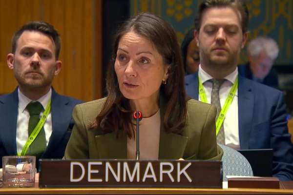 TTP Receives ‘Significant’ Support From The Taliban, Says Danish Envoy To UN