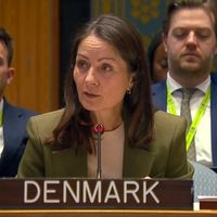 TTP Receives ‘Significant’ Support From The Taliban, Says Danish Envoy To UN