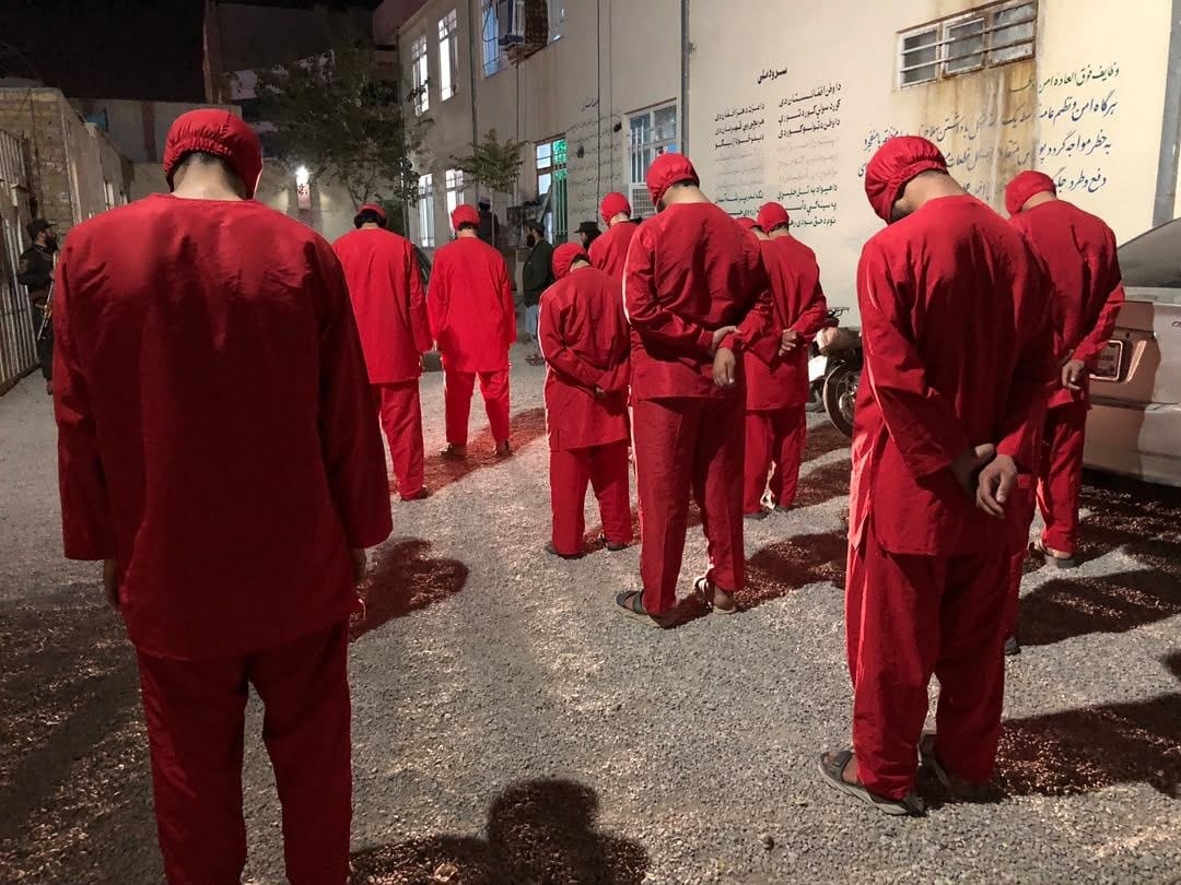 طالبان وايي په هرات کې یې د جنايي جرمونو د یوې لویې شبکې ۱۴ غړي نیولي دي 