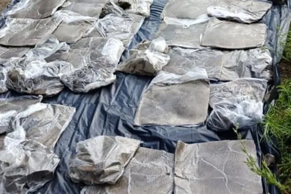 قزاقستان د ۵۰۰ زره ډالرو په ارزښت د افغانستان نشهیي توکي ونیول