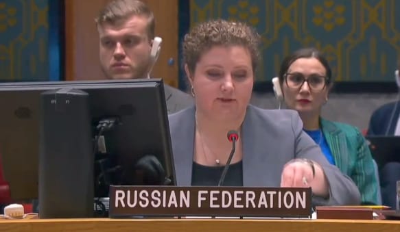 نماینده روسیه در شورای امنیت: حل مشکلات افغانستان با تعامل سازنده با طالبان ممکن است