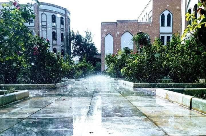 دانشجویان دانشگاه خاتم‌النبیین: «از بی‌سرنوشتی نجات‌مان دهید»