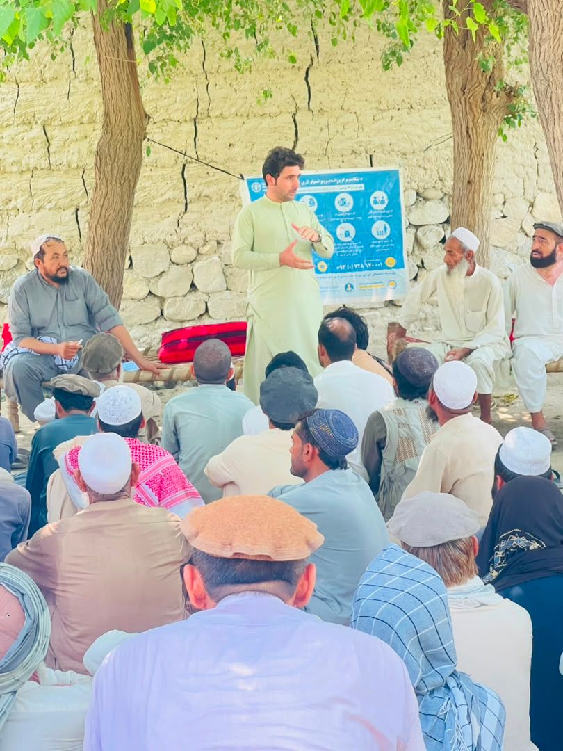 ملګري ملتونه په ننګرهار کې له ۲۱ زرو څخه ډېرو بزګرانو ته د غنمو تخم او کیمیاوي سرې وېشي