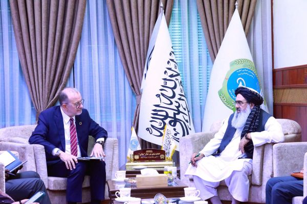 نور جلال جلالي: هڅه کوو په خپلې کورنۍ بودجه روغتیايي خدمتونه پراخ او معیاري کړو