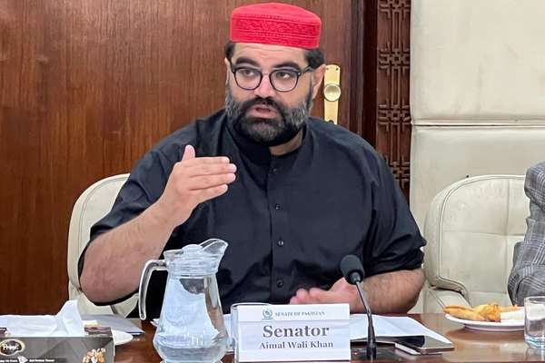 اېمل ولي خان د تېراه پېښې ته په اشارې: اول مو ووژني، بیا وایي ټول کارونه همدې پښتنو کړي