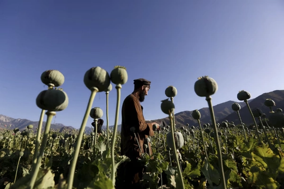 واشنطن بوست تكشف لأول مرة عن عملية سرية لوكالة الاستخبارات الأميركية لخفض الهيروين