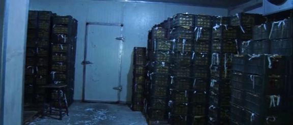 د کرنې او مالدارۍ خونه: ترکي پانګهوال د سړوخونو په برخه کې ۱۵ مېلیونه ډالر پانګونه کوي