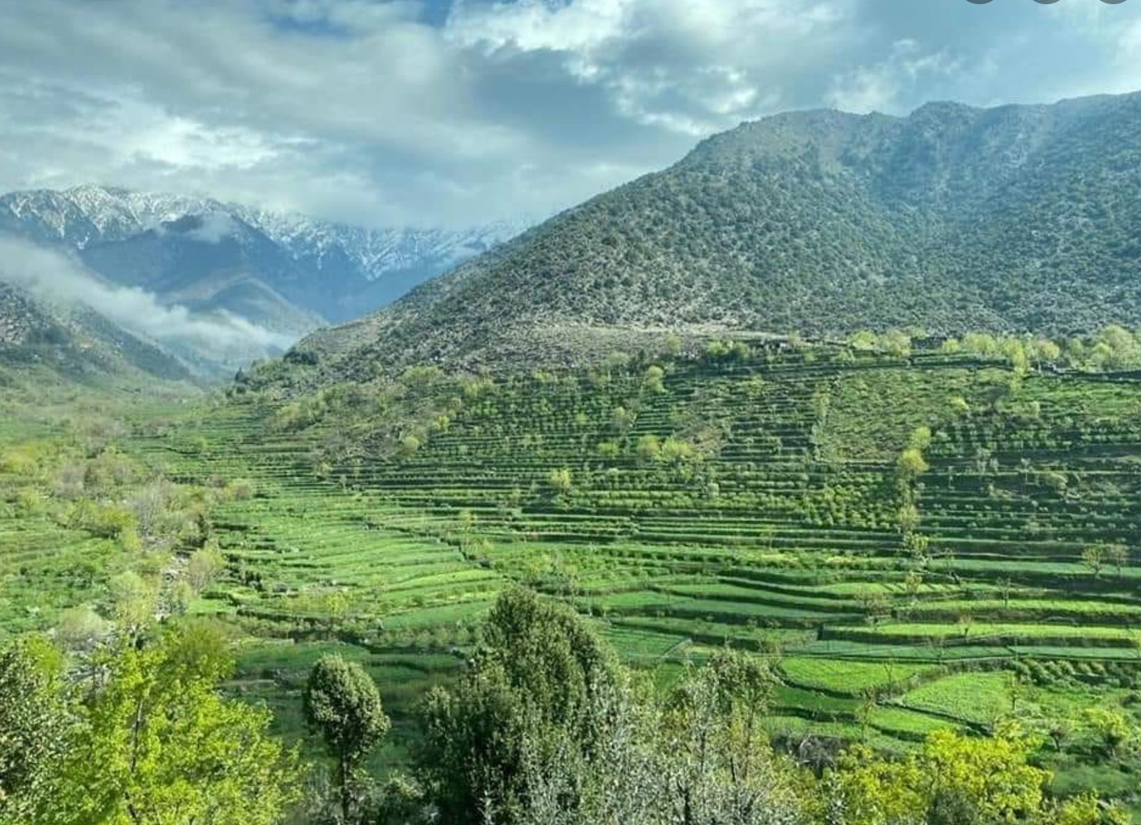 په ننګرهار ولایت کې د ځمکې پر سر شخړې کې درې کسان وژل شوي 