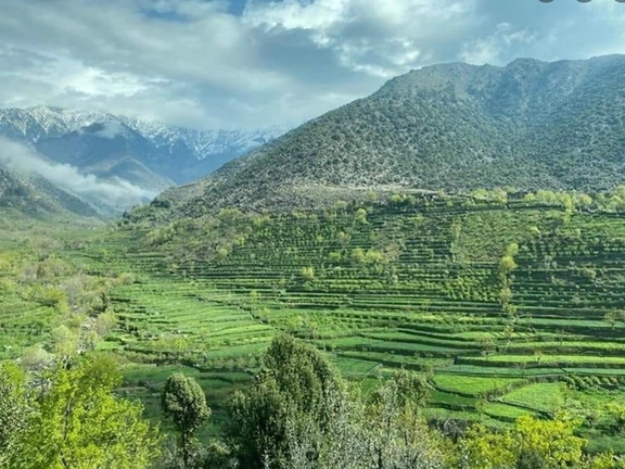 په ننګرهار ولایت کې د ځمکې پر سر شخړې کې درې کسان وژل شوي