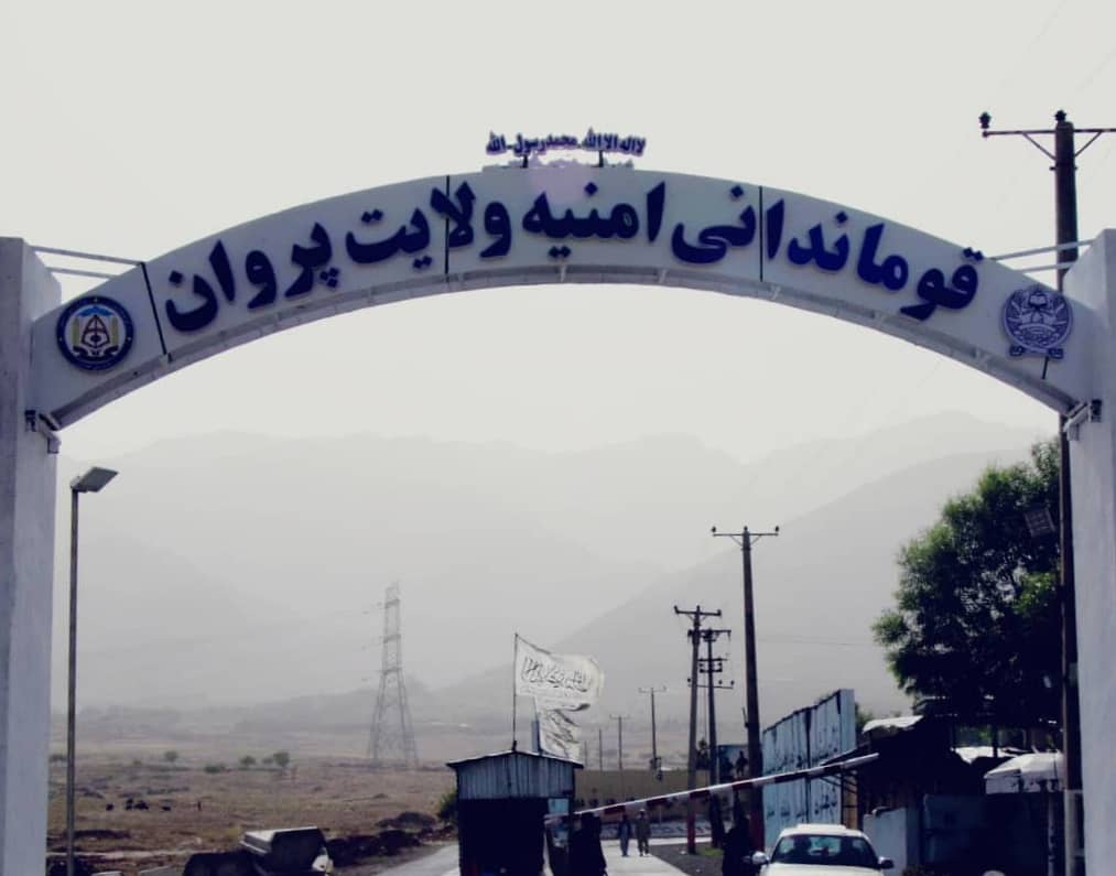 په پروان کې د درېیو ښځو په ګډون ۵ کسان د یوه قتل په تړاو نیول شوي