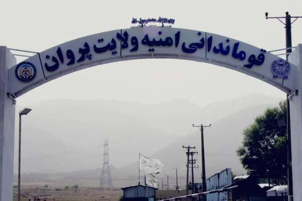 په پروان کې د درېیو ښځو په ګډون ۵ کسان د یوه قتل په تړاو نیول شوي