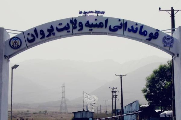 په پروان کې د درېیو ښځو په ګډون ۵ کسان د یوه قتل په تړاو نیول شوي