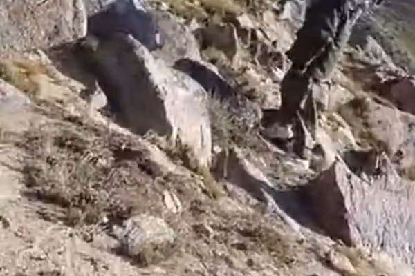 ازادۍ جبهې د بدخشان په زیباک کې طالبانو ته د «مرګ ژوبلې» اړولو خبر ور کړی
