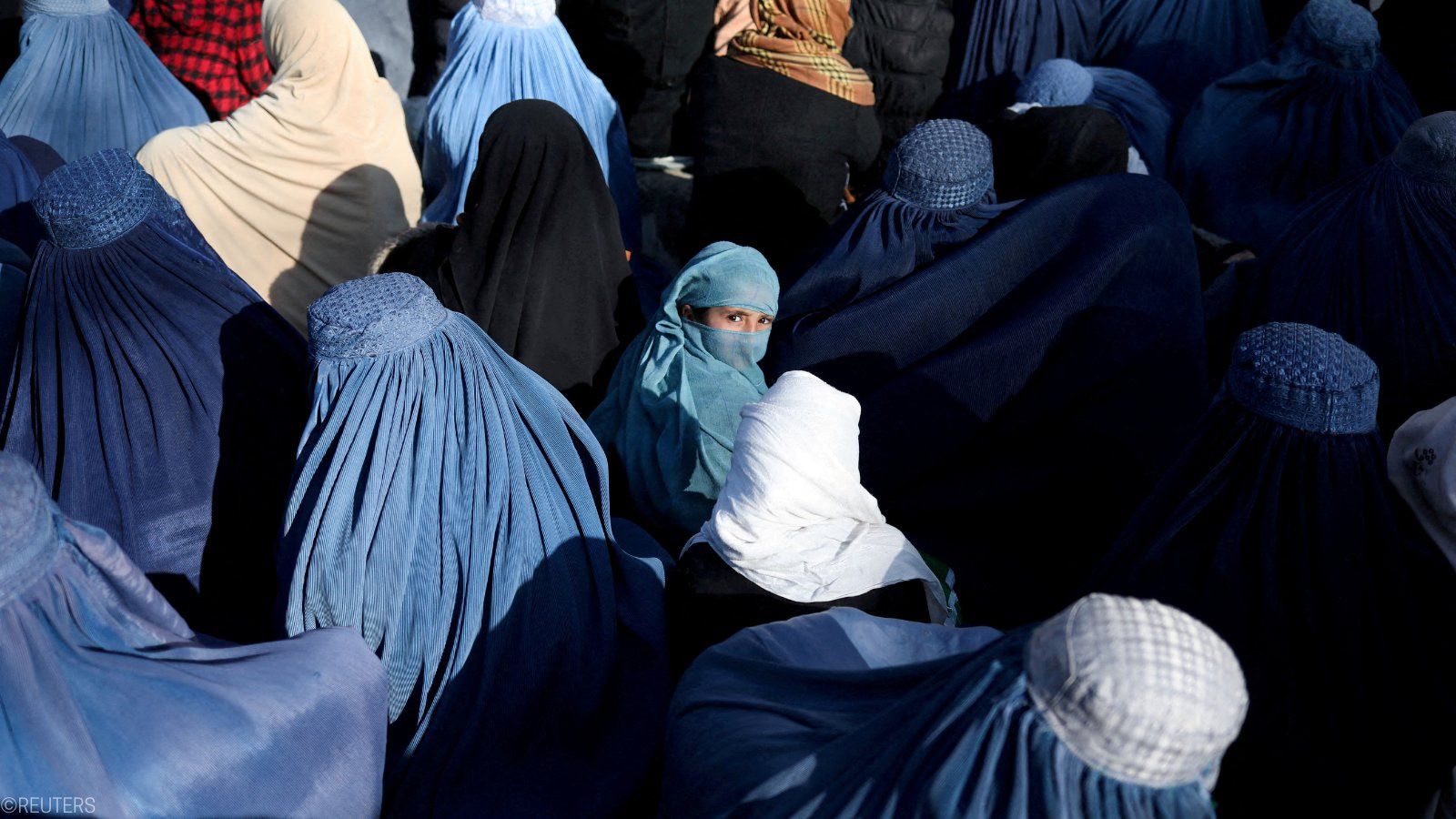 گزارشگر ویژه حقوق بشری سازمان ملل نخستین سفر خود به افغانستان تحت کنترل طالبان را آغاز کرد