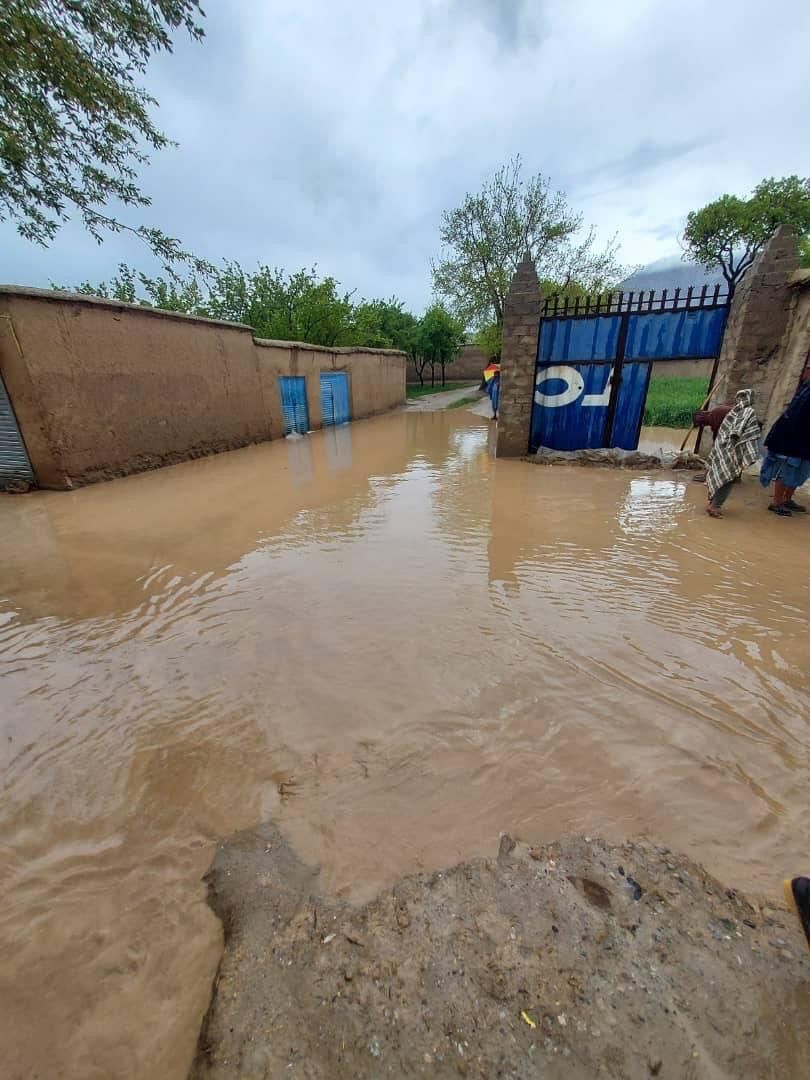 سرچینې: د افغانستان په سوېل کې د باران، ږلۍ او سېلابونو له امله ګڼ مالي زیانونه اوښتي