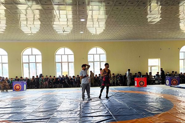 رقابتهای کشتی «جام گل ارغوان»؛ پیوند ورزش و زیباییهای بهار در چاریکار ولایت پروان