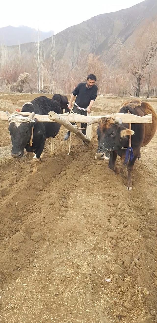 همایون امیری، خبرنگاری با ۱۰ سال تجربه کاری: به زادگاهم آمدم تا کشاورزی کنم