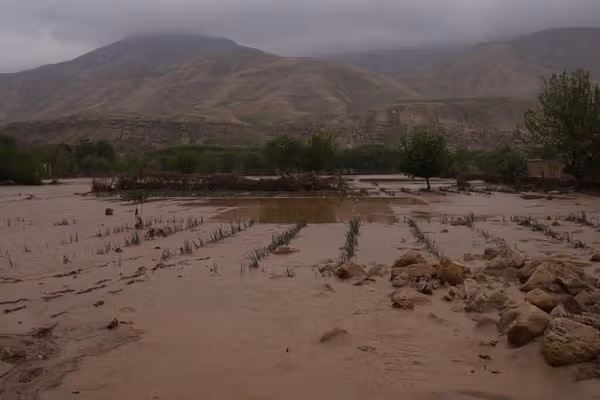 په تیرو ۲۴ ساعتونو کې د سېلابونو له امله ۱۳ تنه مړه شوي او ۹ نور ټپیان دي