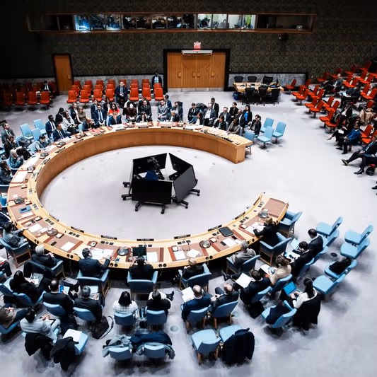 نمایندگی افغانستان در سازمان ملل از قطعنامه شورای امنیت استقبال کرد