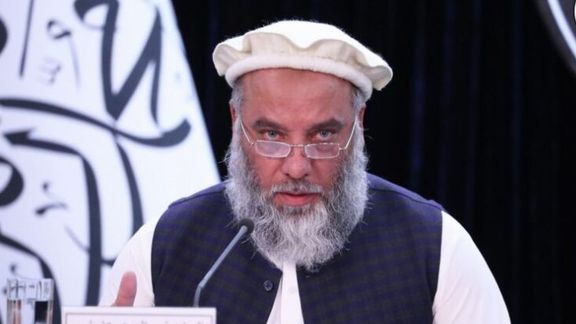 طالبان واردات گوشت مرغ به افغانستان را متوقف کرد