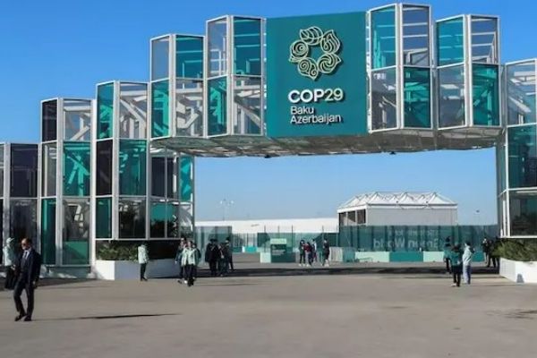 UNAMA 'Facilitates' Taliban's Participation In Baku Climate Conference