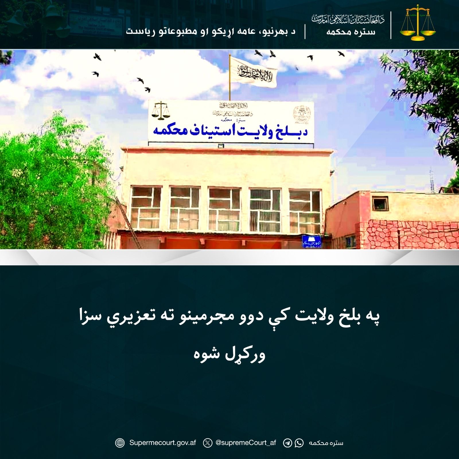 دادگاه طالبان در بلخ دو نفر را به اتهام قاچاق مشروبات الکلی شلاق زد