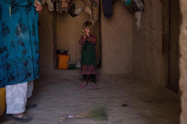 کمیته بینالمللی نجات نسبت به تشدید بحران گرسنگی در افغانستان هشدار داد