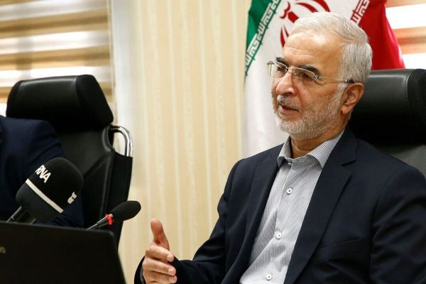 وزير الداخلية الإيراني: نحو مليوني مهاجر غير قانوني ما زالوا في إيران
