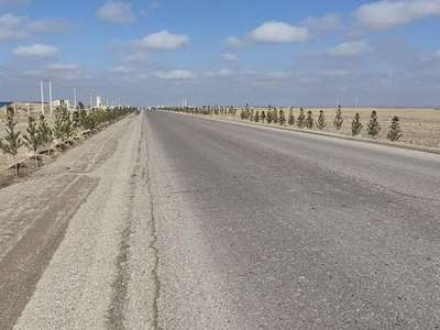 Two Taliban Members Killed In Herat Attack, Says NRF