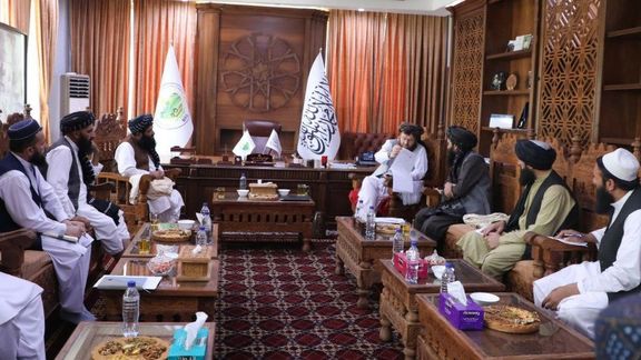 د طالبانو د کرنې وزارت د کوکنارو د بدیل کښت د ۵ کلن پلان نهايي کولو لپاره یوه کمېټه ټاکلې