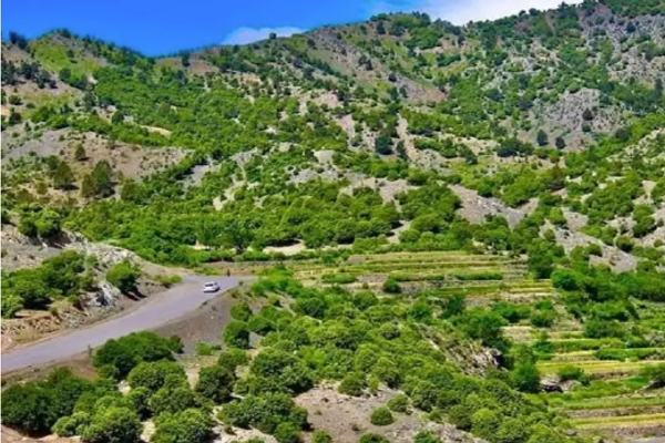 Taliban Publicly Flogs Individual on Blasphemy Charges in Khost Province