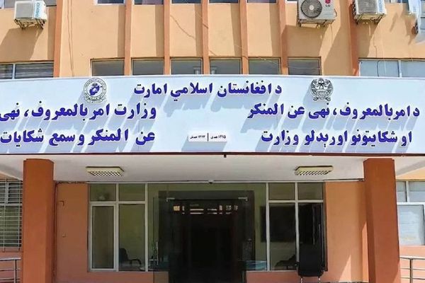 د طالبانو د امربالمعروف وزارت وایي په بامیان، غور او پروان کې یې ۷ کوډګر نیولي دي