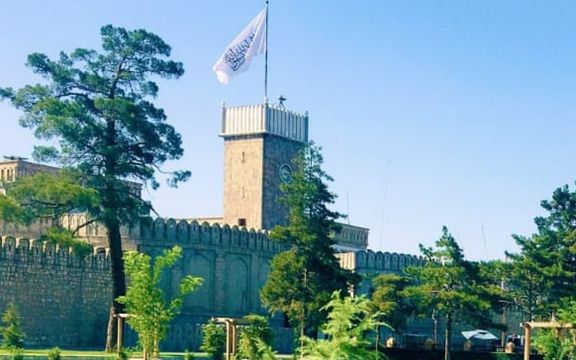 طالبان مسلمانان را به حمایت از «آرمان فلسطین» فراخواند