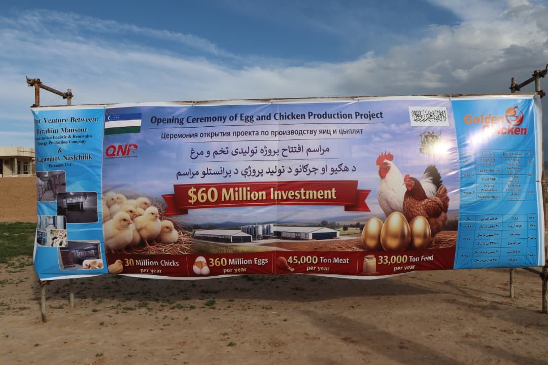 په بلخ کې د ۶۰ میلیونه ډالرو په ارزښت د چرګانو او هګیو د تولید فابریکه جوړېږي