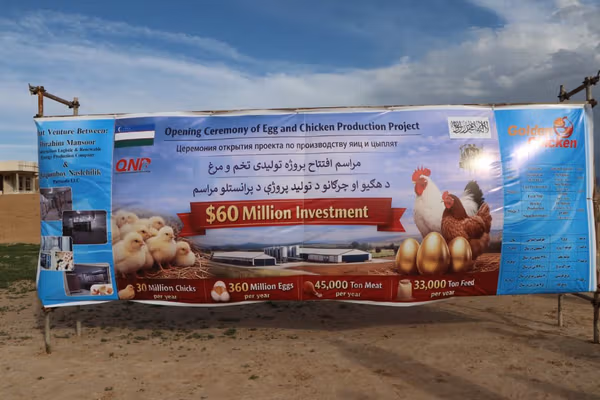 په بلخ کې د ۶۰ میلیونه ډالرو په ارزښت د چرګانو او هګیو د تولید فابریکه جوړېږي