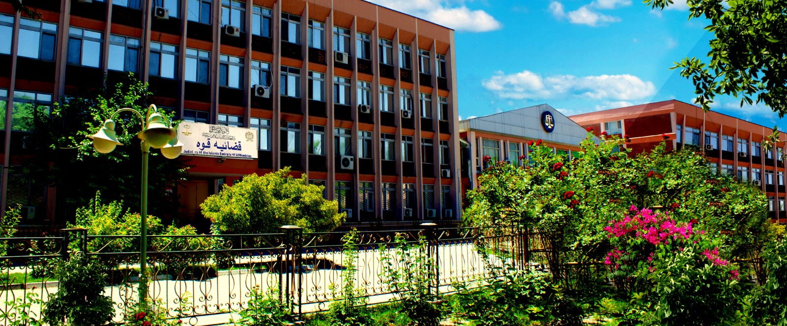 طالبان در غور و میدان‌وردک یک زن و یک مرد را در ملاء عام شلاق زد