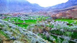 طالبان در ارزگان باشندگان را 'وادار به پرداخت ۳۰ میلیون افغانی' در دعوا برسر زمین کردند 