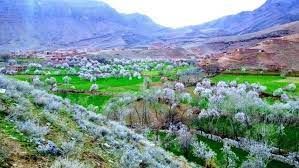 طالبان در ارزگان باشندگان را 'وادار به پرداخت ۳۰ میلیون افغانی' در دعوا برسر زمین کردند