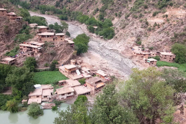 په نورستان کې د پاکستاني ځواکونو په بریدونو کې لسګونه څاروي تلف شوي دي