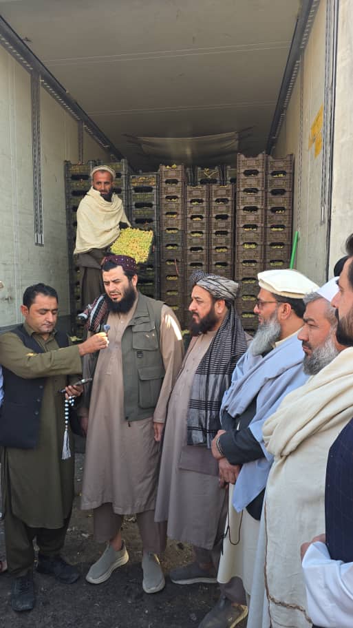 طالبانو په تورخم کې پاکستان ته صادرېدونکې مېوې او سزیجات راوګرځول