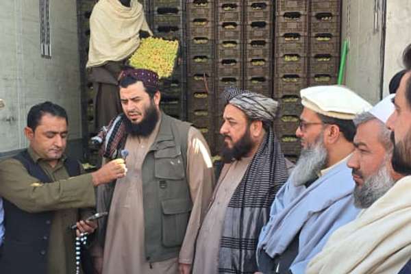 طالبانو په تورخم کې پاکستان ته صادرېدونکې مېوې او سزیجات راوګرځول