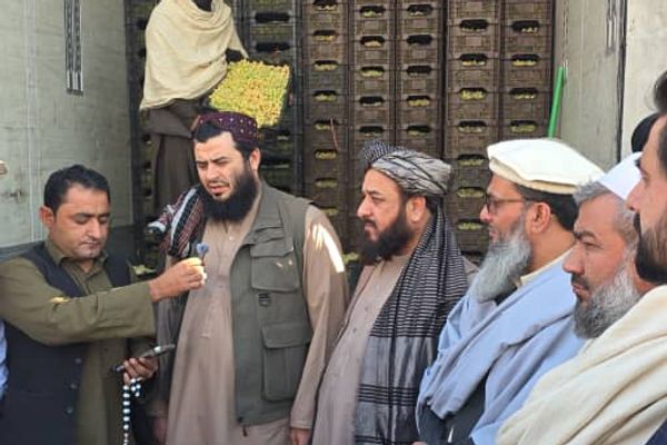 طالبانو په تورخم کې پاکستان ته صادرېدونکې مېوې او سزیجات راوګرځول