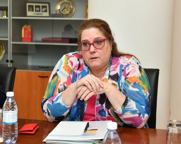 کرن دېګر: افغان خبریالان باید د غچ اخیستو له وېرې پرته په خوندي توګه فعالیت وکړي